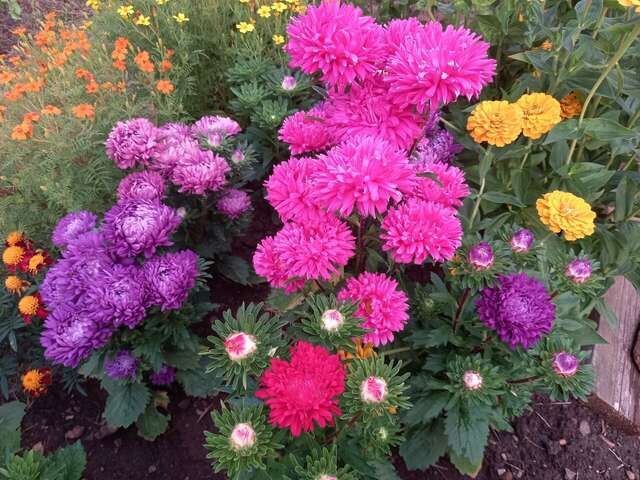 Гостиница Азия Пермь-120